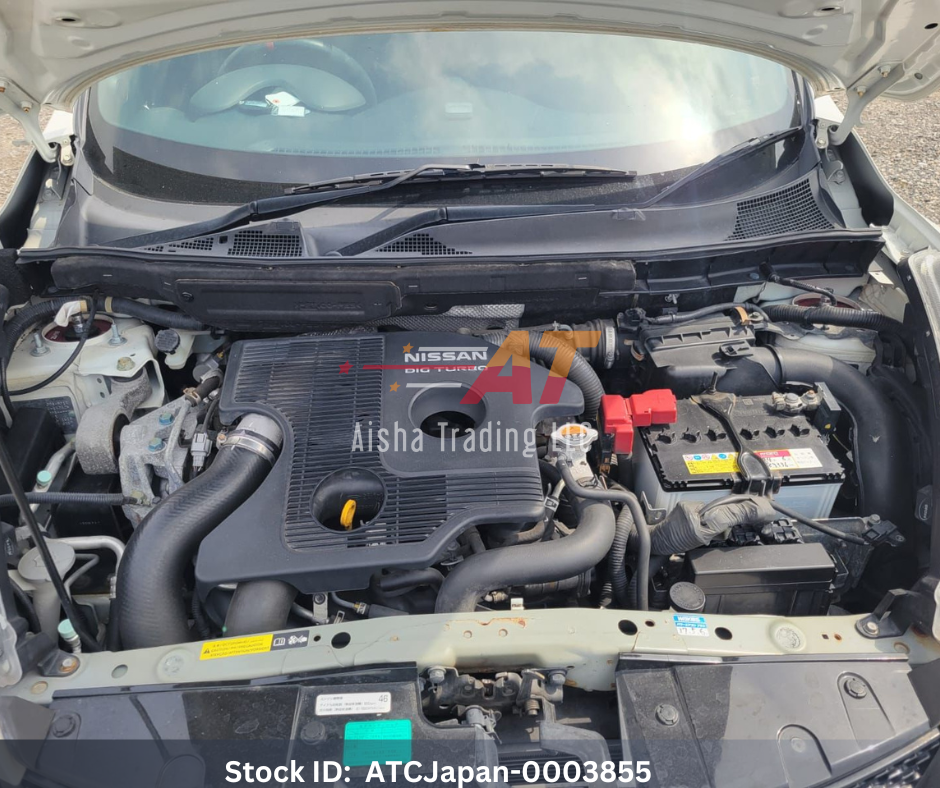2013 Nissan Juke